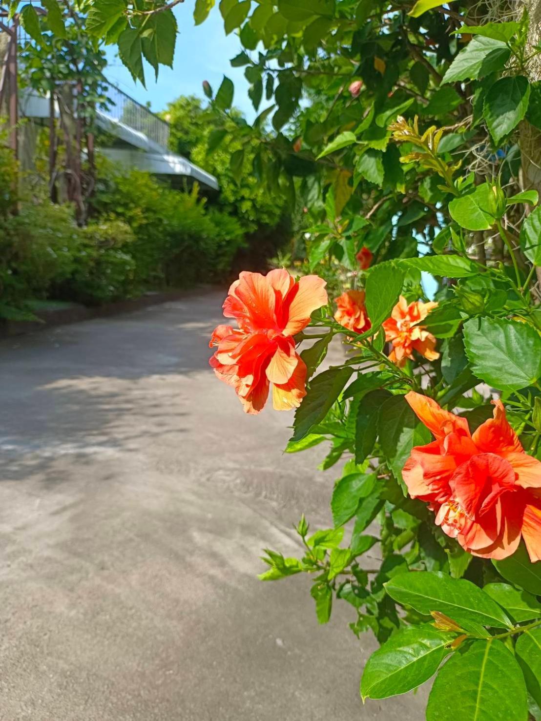 Phannarai House Lamai Beach  Bagian luar foto