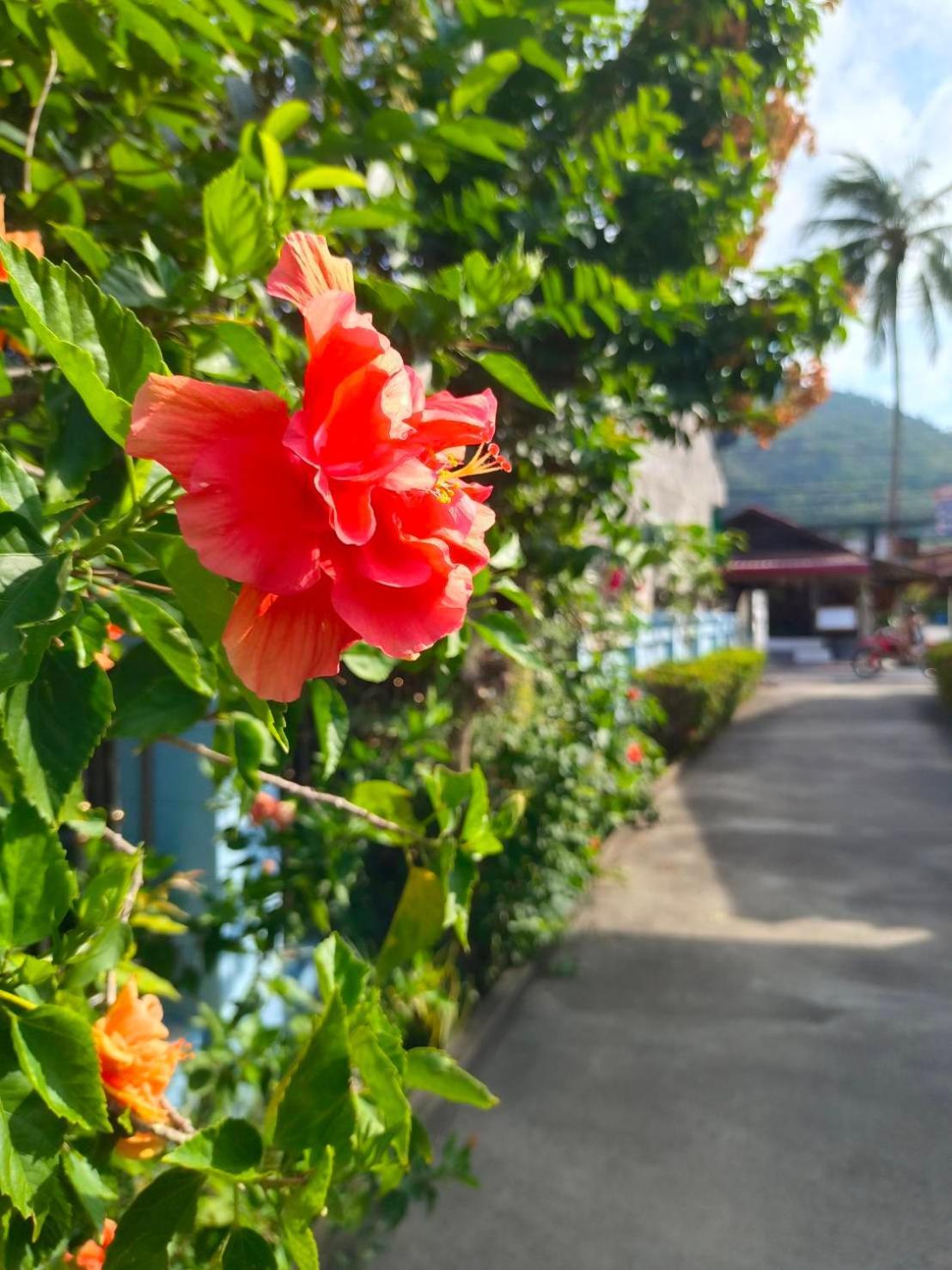 Phannarai House Lamai Beach  Bagian luar foto